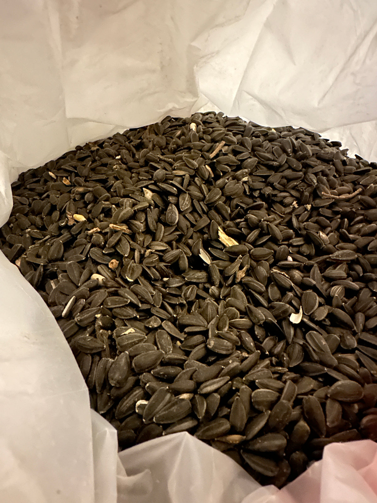 Schwarze Sonnenblumenkerne für Geflügel und Wildvögel