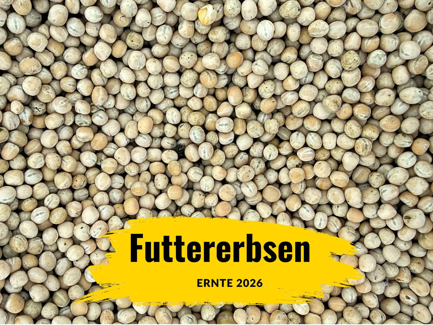Gelbe Futtererbsen Tierfutter Hühnerfutter