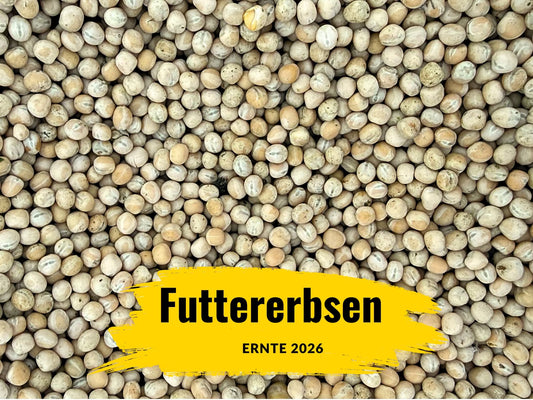 Gelbe Futtererbsen Tierfutter Hühnerfutter