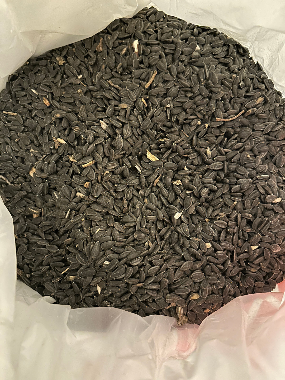 Schwarze Sonnenblumenkerne für Geflügel und Wildvögel