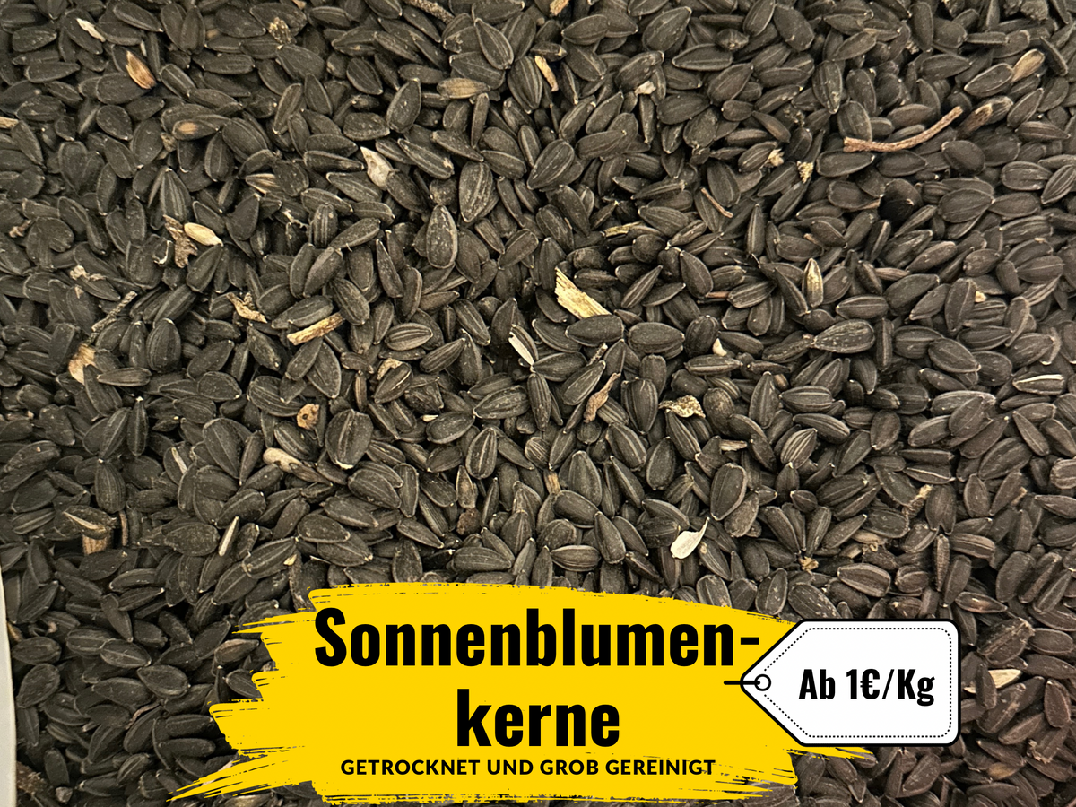 Schwarze Sonnenblumenkerne für Geflügel und Wildvögel